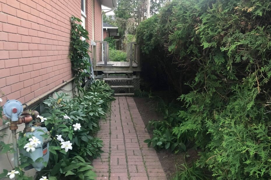 received_1131034327276010