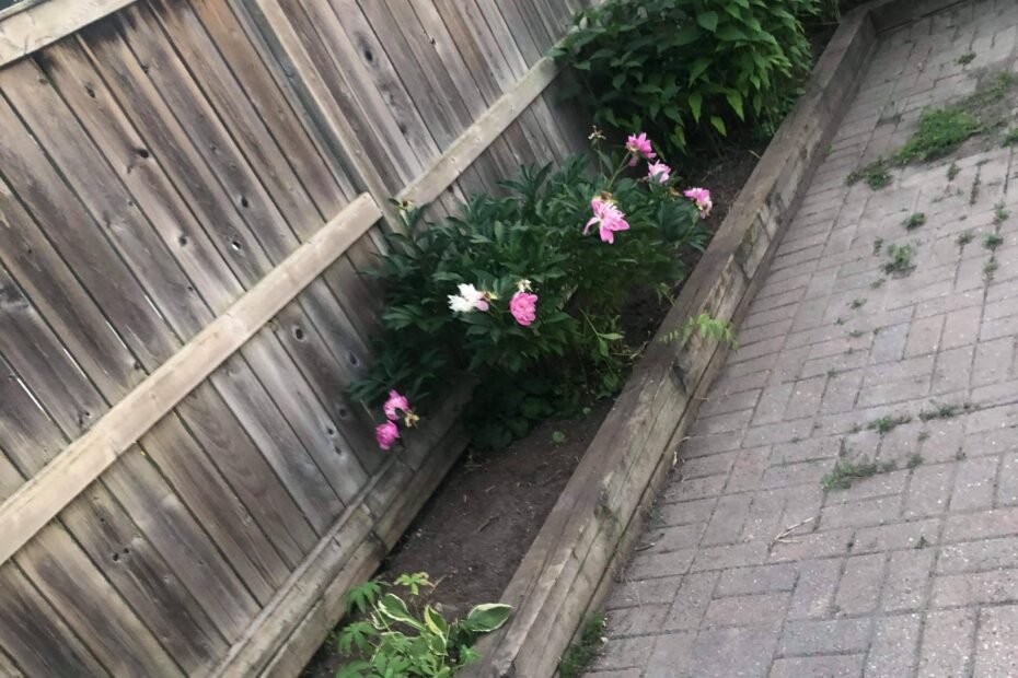 received_196137965111031