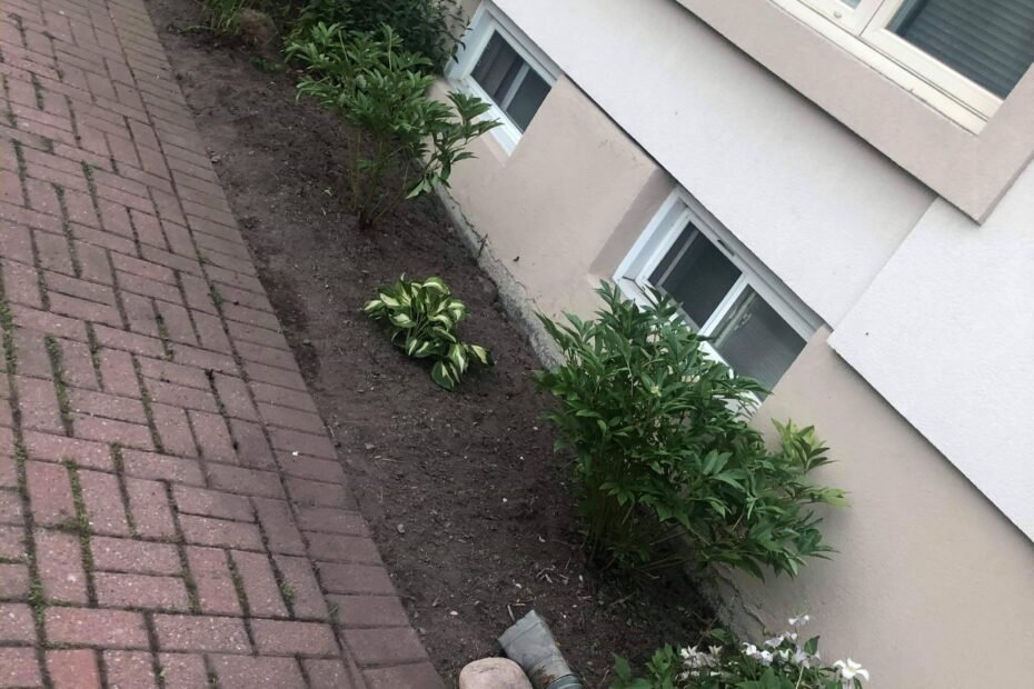 received_292471372111044